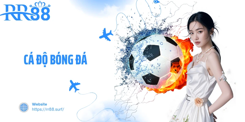 Cá Độ Bóng Đá - Tuyệt Chiêu Cao Thủ Thắng Đậm Khi Cá Độ