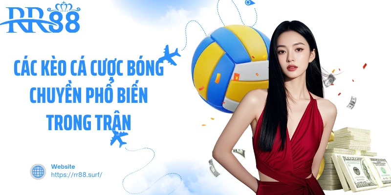 Các kèo cá cược bóng chuyền phổ biến trong trận