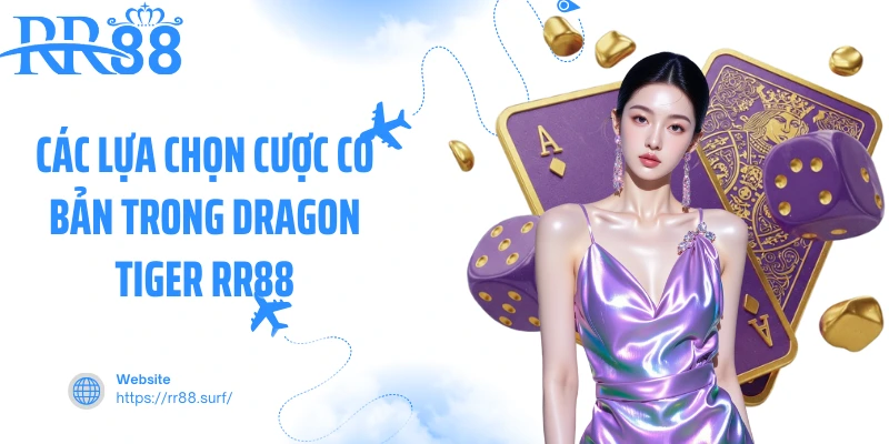 Các lựa chọn cược cơ bản trong Dragon Tiger RR88