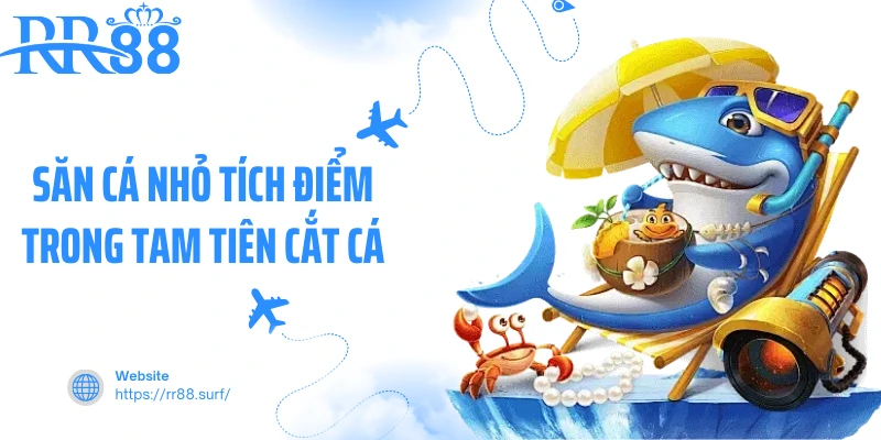 Săn cá nhỏ tích điểm trong Tam Tiên Cắt Cá